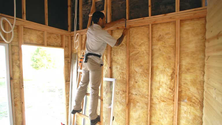 Best Spray Foam Insulation  in Portage, MI