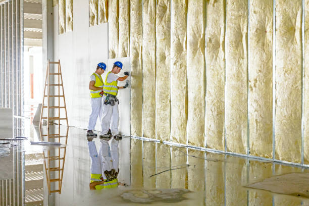 Best Attic Insulation Installation  in Portage, MI